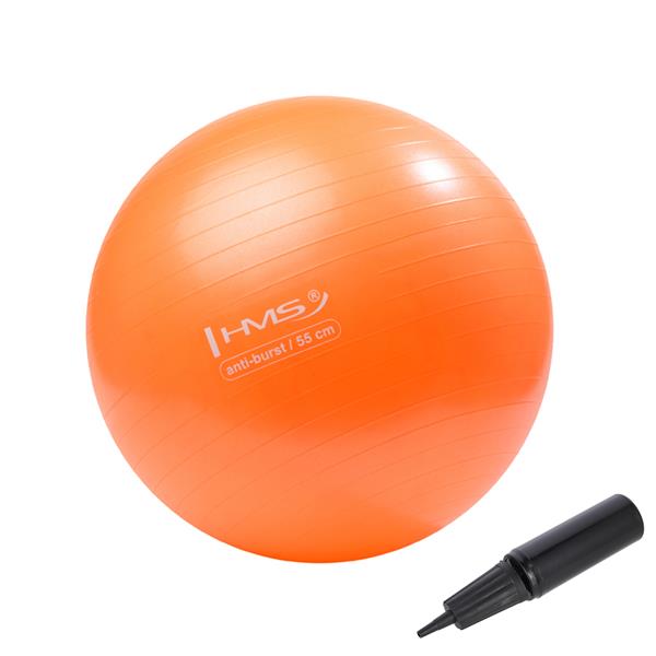 YB02N 55CM ORANGE Gym Ball HMS