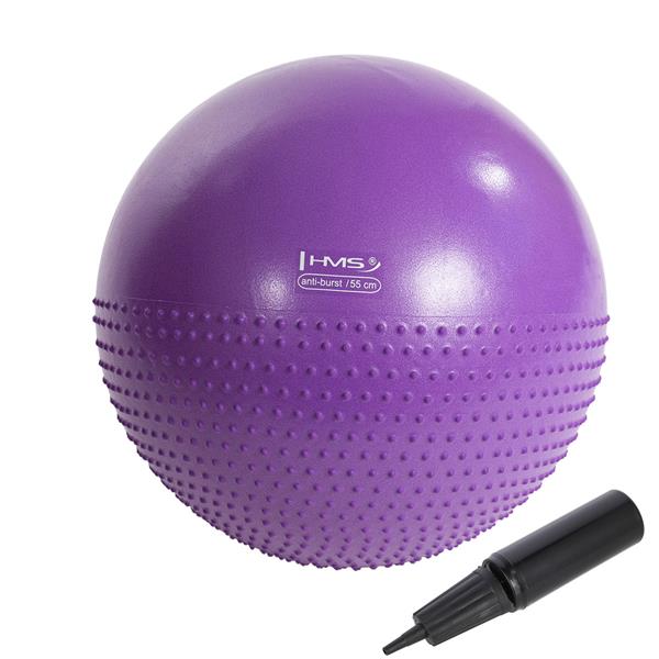 YB03N 55CM PURPLE Gym Ball HMS